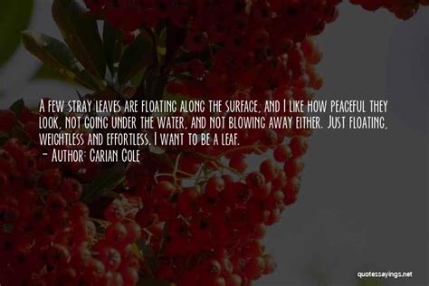 abusado quotes|Hugot quotes .